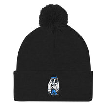 Pom Pom Knit Cap